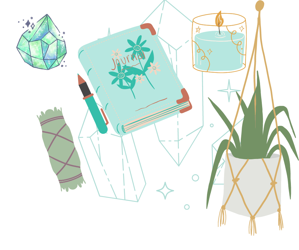Site header 1920 x 880 px whole boss academy new plant